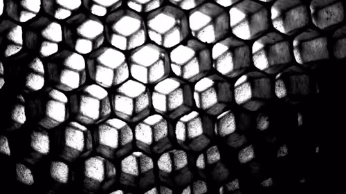 Item #90896417824972754035374636593441500642051195282109538135332929201120124862465 Media