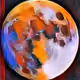 42649101617093467626061144416740634605781888035717682398113893798944543080449