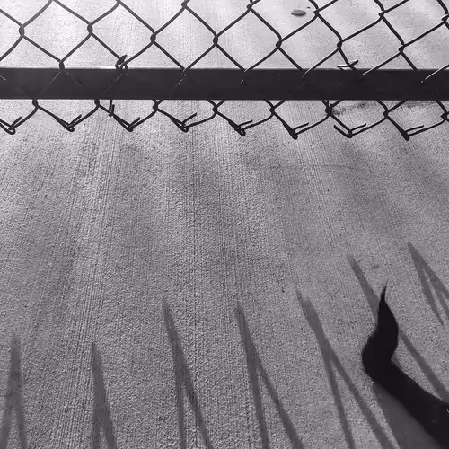 Item #56431751608181922231259635946092067407977788553703326303680802303054152990721 Media