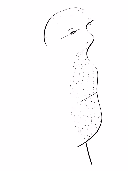 Item #18737498391272000360770389809007454971893280623716805117201428407787590778881 Media