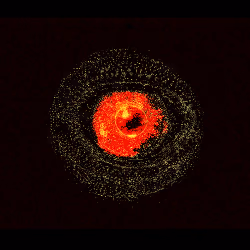 Eye #7