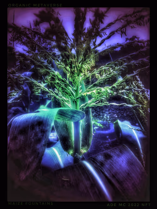 Item #3787080761074609709675817509753112159059746763483256848434353616070524272645 Media