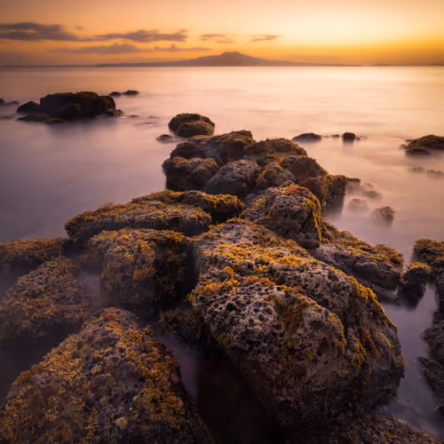 Rangitoto Sunrise