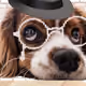 81564700138269160226841618340338203280528900580755505087266322810917055627265