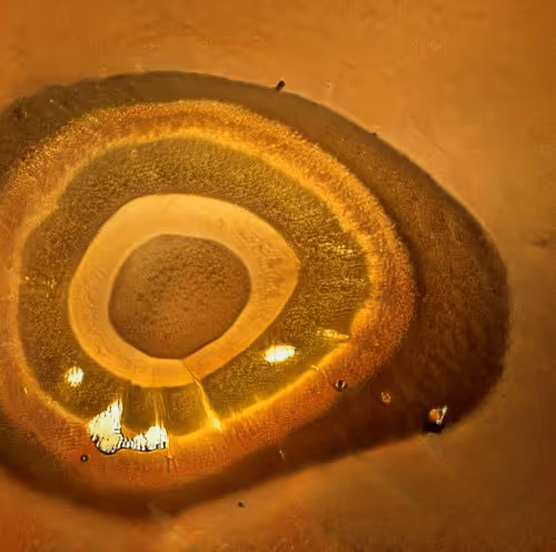 Item #73500473601639277492783536232978387069951164458626547516930003813554498568193 Media