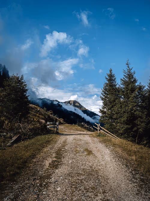 Item #35192047523180904426225762818624346503193703667199647020251795141659983872001 Media