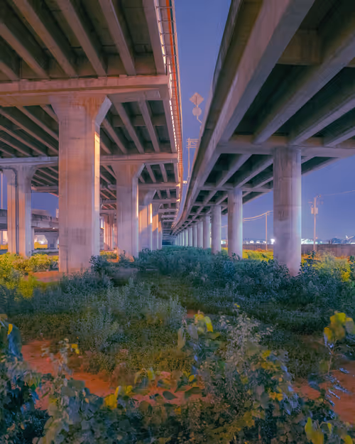 Item #105025572156970423279806083631740089086586526732791604564462751979116626444289 Media