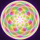 37651882721655756537058806633548637438755471448519515271094470936801597980673