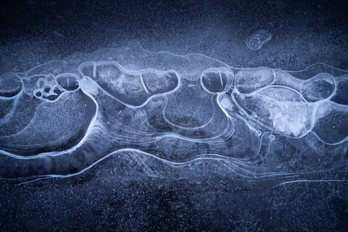 Item #55403408665547609189092792610750107765895786822855229620827418999836901376001 Media