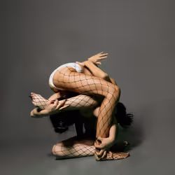 64937308923702188921050477922985568255563615287509163663175392166121404628993