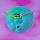 1117293164482612420341066803416431360136392422768795372062017075782703120385