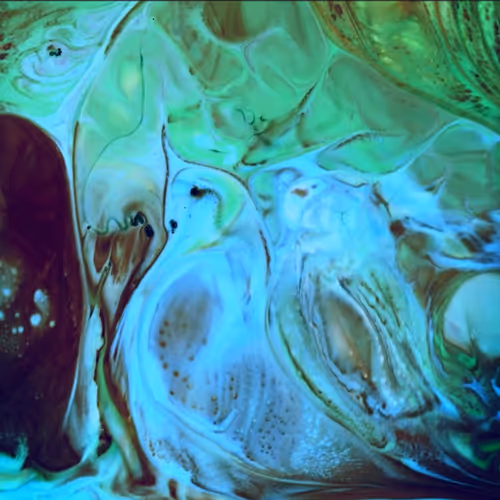 24074810528421772514233601070827590066402087809941770395158209030796515213313