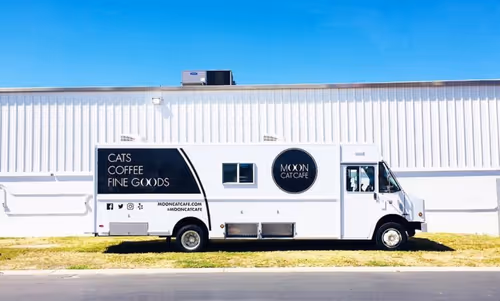 Item #12030096268944832383519200869739243025731728617049659890117429831438214103041 Media