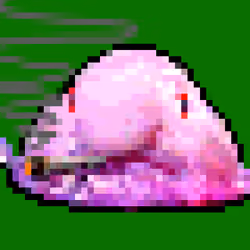 ZOOTED BLOB