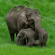 Endless Love...