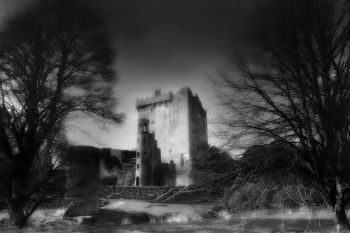 Item #40160686583094733528677484039903516258611509642019211679321071380304375054337 Media