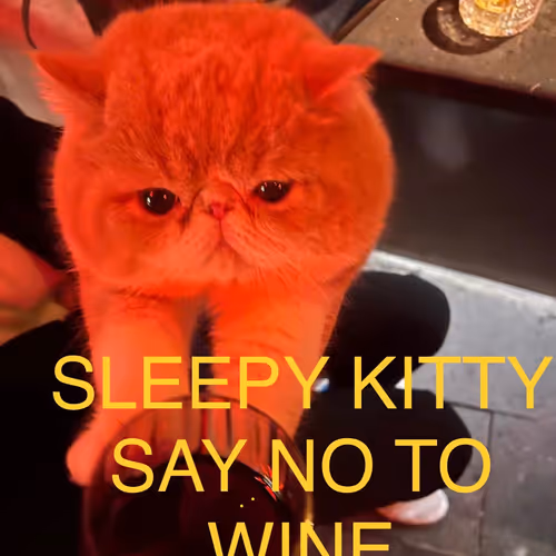 Sleepy Kitty Social Club