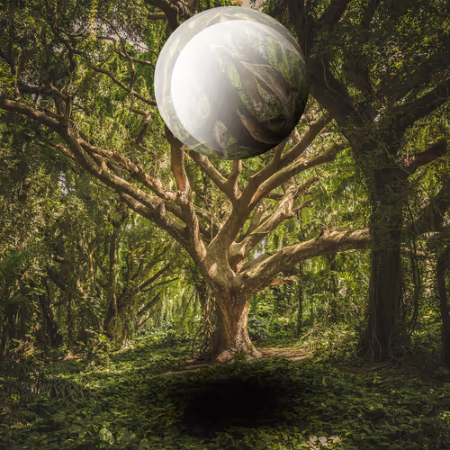 Item #19469739436640433849404204632279142070591541292945996516539209163722071212042 Media