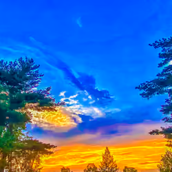Sunset over Forest