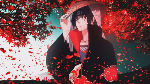 Item #76751988044086871520627799845264137821587095024177340182149086459208077934593 Media