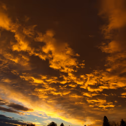 The Golden Hours