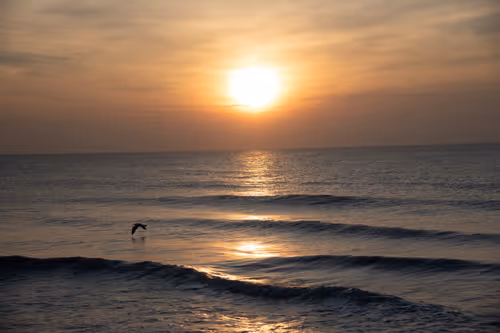 Item #35340250822902184013373152333078332064773952392072355094973720688827272527873 Media