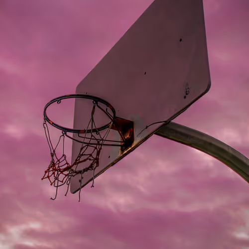 Basketball Diaries