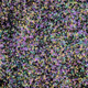 944858660688572096584618472555991747686703840338442188877309727004338159617