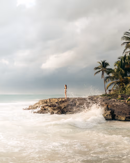 Item #66194589098145771714541131276235575166397887892718389200878874105888515293185 Media