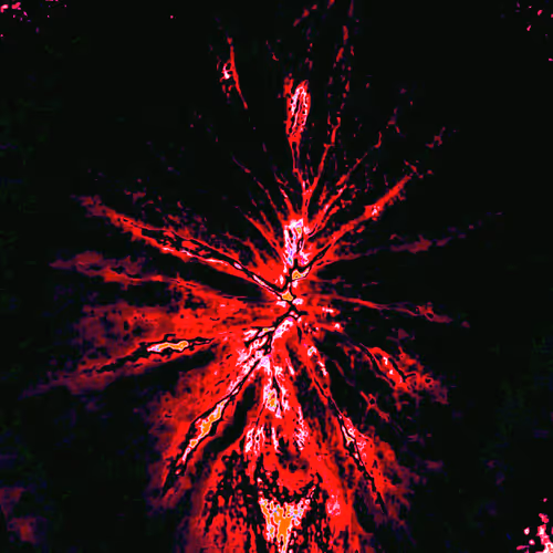 Item #38748192286267356930689689992324455160612969586483070519053316867653705400321 Media