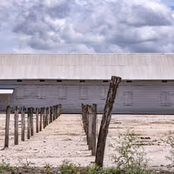 Mennonite church in community of Shipyard, Belize