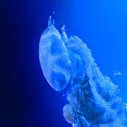 107233771349972107736301499436868855766674104920218653439298226281172936163329