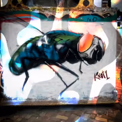 Flyshit