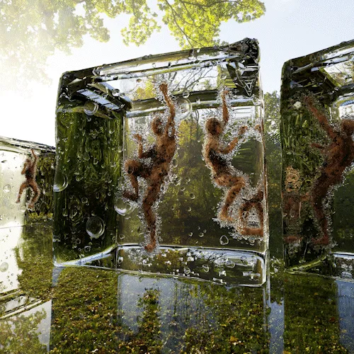 Item #94647566372773556149021918297706547700055154532907233918781144181208185307141 Media