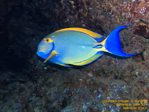 Item #80965803268169370603932631570667161375508893671094224909166964272247970201601 Media