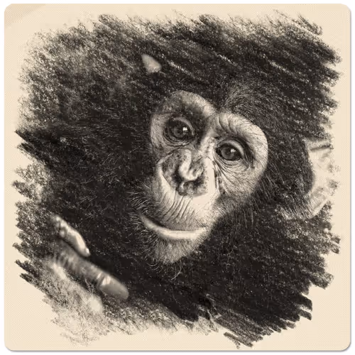 Item #38775667772334495200431258381610230883296000587885911426312875881377191428097 Media