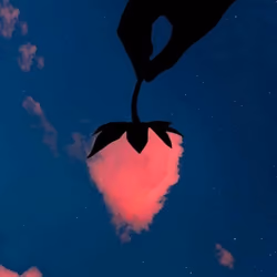 sky berry