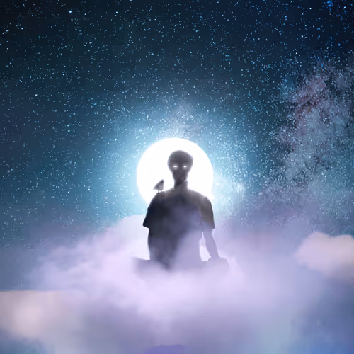 The Robin Fischer Collection