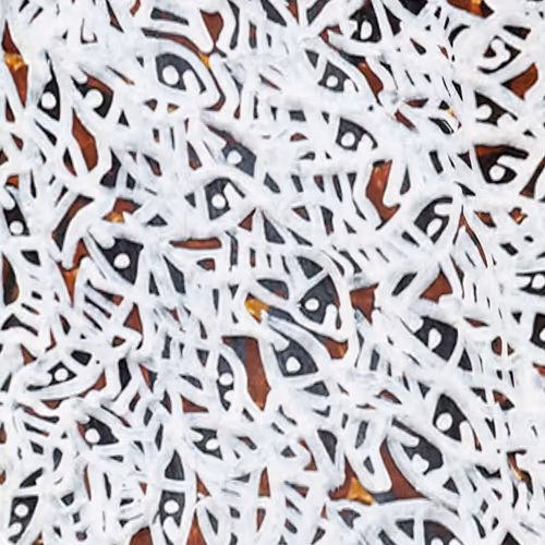 Item #6135615210838207181460231726623395431657623942646172617288677085612706103297 Media