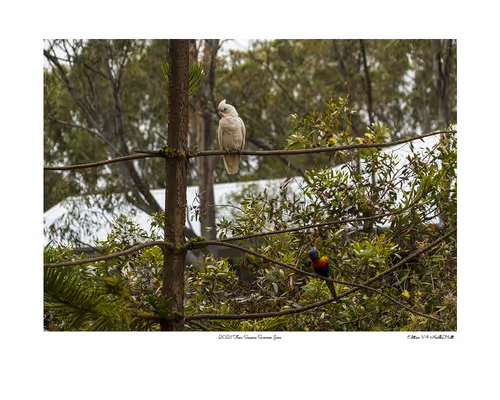 Item #24600310660482288606297797528155087939323639147399647196853483651235888234497 Media