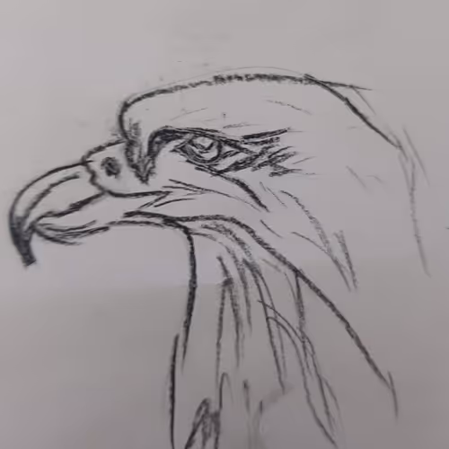 bilelbilly Collection