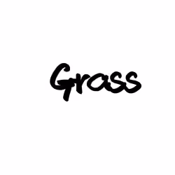 Genesis third day：Grass
