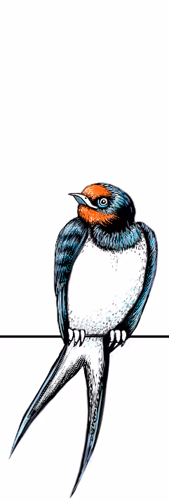 Item #72695523464753550601147126795501667149014001806411121621206157115165868294145 Media