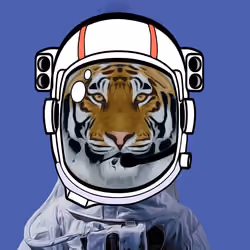 Tiger #09