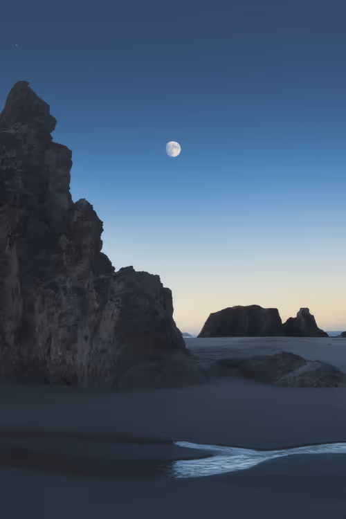 Item #39071023685345521589531013450918722216572370939070752972983331694903342137345 Media