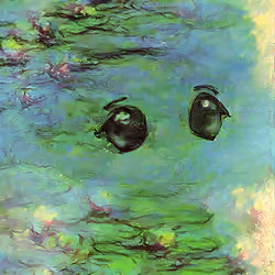 Water Mililys