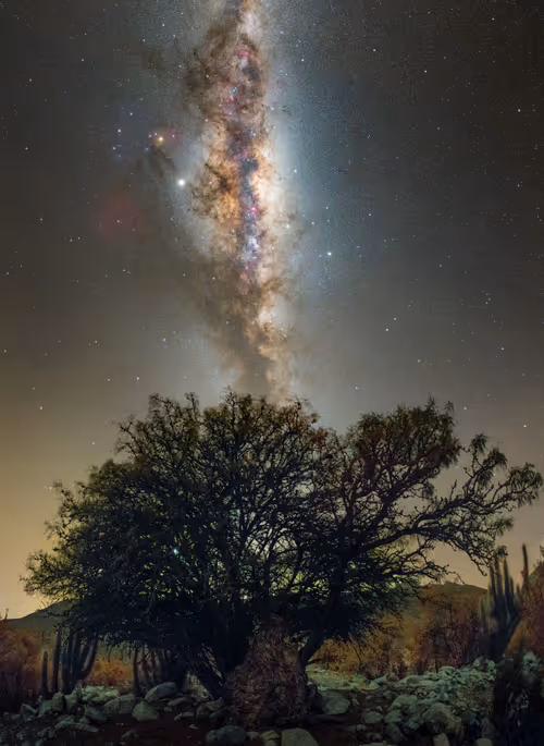 Item #40603534861901570869094236654566806841272003589597749001779762390021554831365 Media