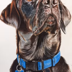 94633138191450171774936613272738146477458314748765306219033551096871242432513