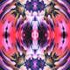 84166766831979456547517341543068149091229272669726785321432478083854219870209