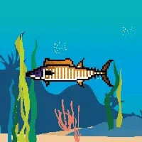 Etherfishing